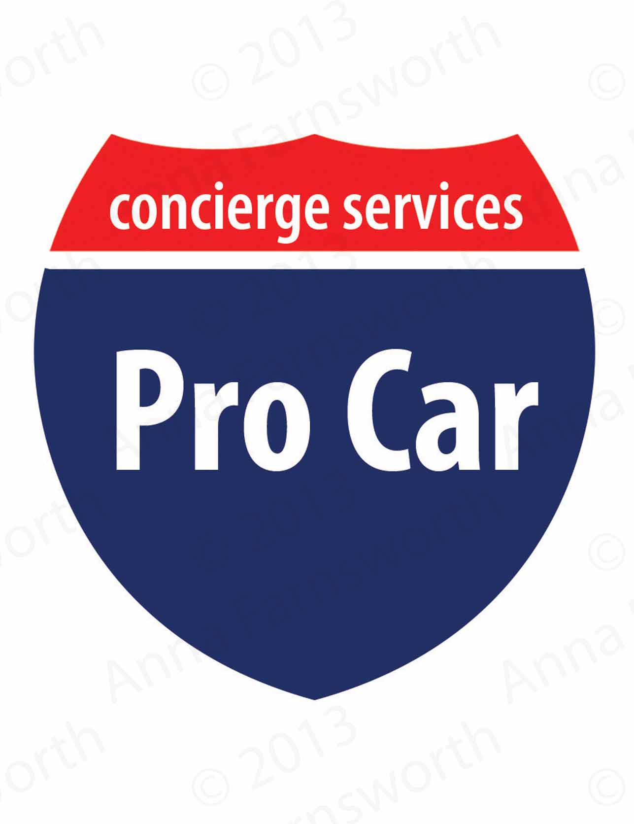 Pro Car